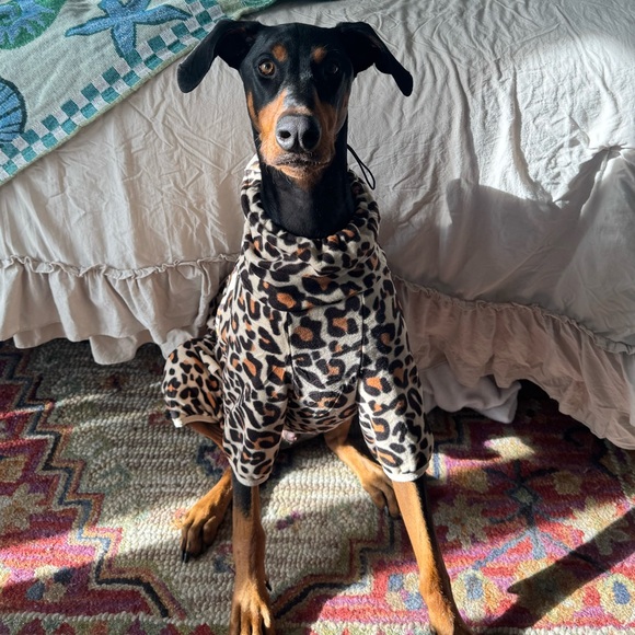 Meet your Posher, Mckenna - Picture 1 of 1